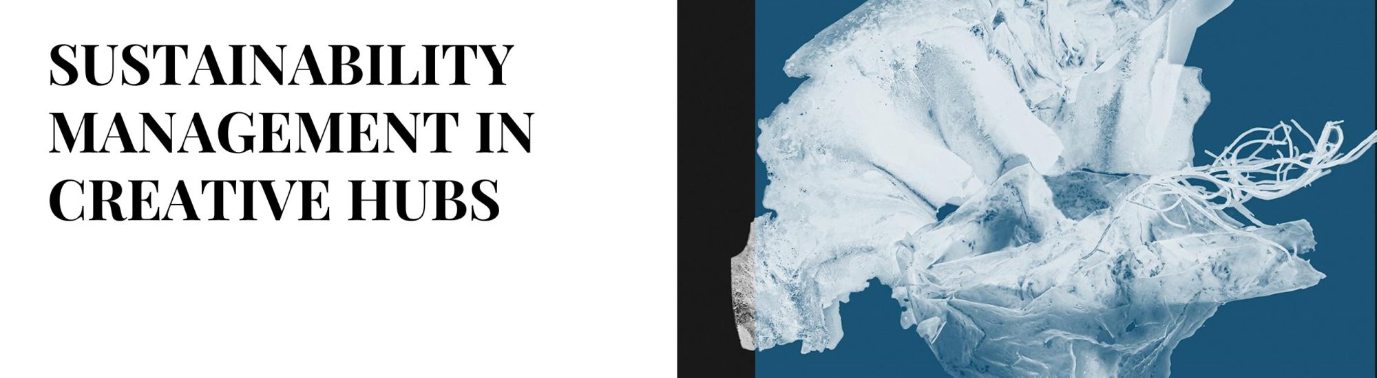 Sustainability Management in Creative Hubs